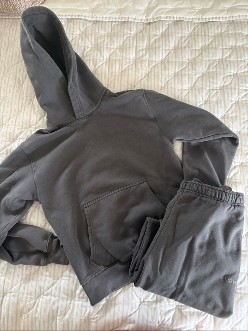 Aritzia Gray Hoodie and Sweatpants Set
